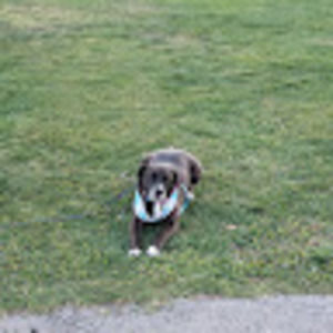 Meet your Posher, Veronica